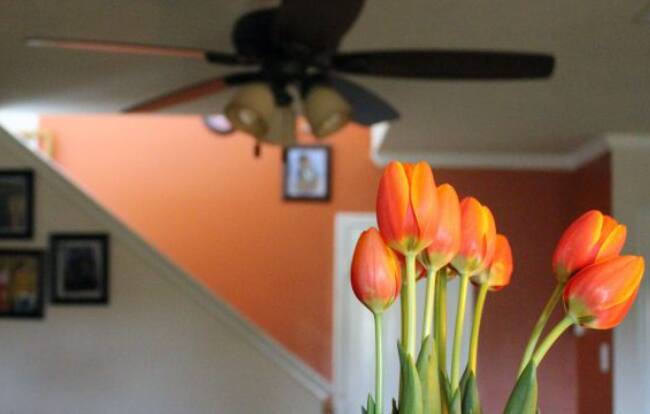 ハイムの値引きのコツ